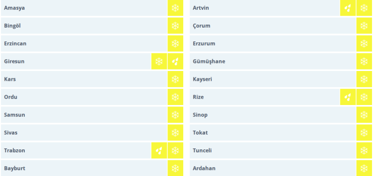 Ankara ve İstanbul'a kar geliyor